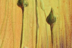 Seeds of Hope (11 of 15) • Acrylic & Pastel on Wood Panel • 24 x 12