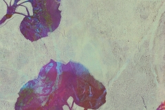Botanical Monotype M-2_1114 • Acrylic on Paper • 11 x 14