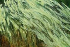 Wild Grasses 3 of 3 • Acrylic on paper • 8 x 11.5