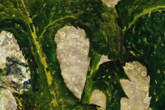 Prickly Wild Lettuce (4 of 4) • Acrylic on paper • 8.25 x 13.75