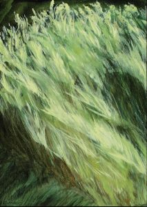 rel="lightbox[grasses]"