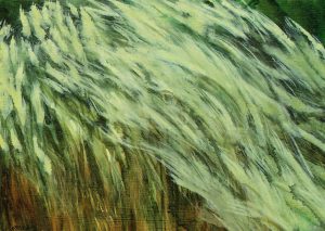 rel="lightbox[grasses]"