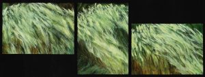 rel="lightbox[grasses]"