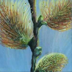 Goat Willow (2 of 3) • 7.5x7.5 • Mounted on Wood