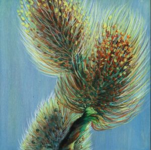 Goat Willow (3 of 3) • 7.5x7.5 • Mounted on Wood