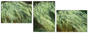 rel="lightbox[grasses]"
