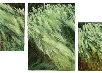 rel="lightbox[grasses]"